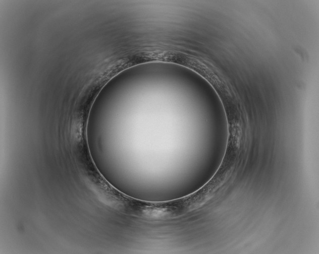 X0000112900602200908211518