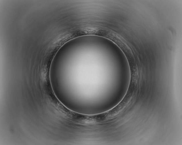 X0000112900604200908211518