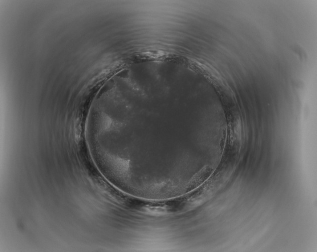 X0000112900606200908211518