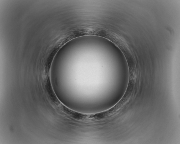 X0000112900607200908211518