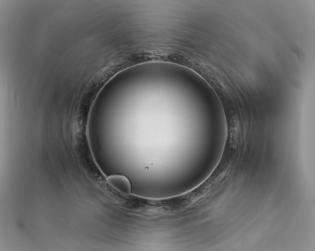 X0000112900608200908211518