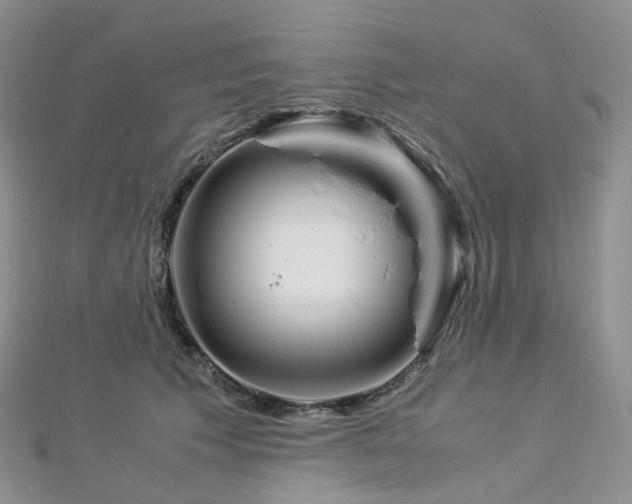 X0000112900609200908211518
