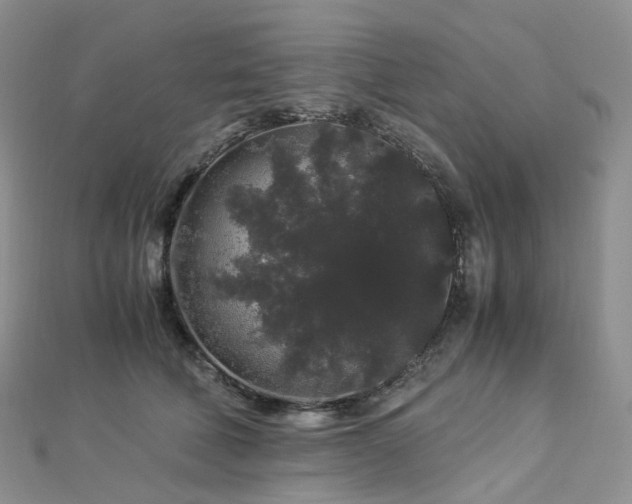X0000112900610200908211518
