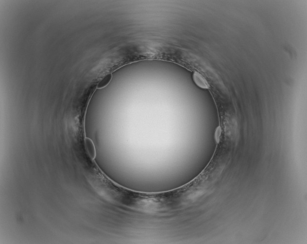 X0000112900611200908211518