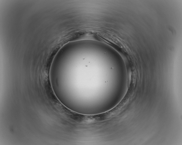 X0000112900613200908211518