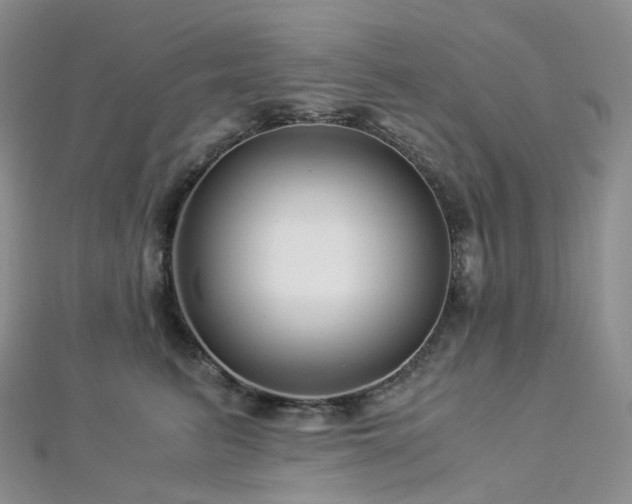 X0000112900615200908211518