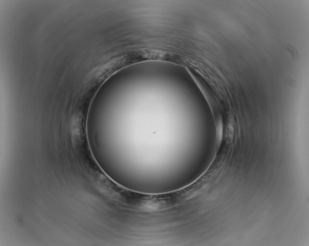 X0000112900616200908211518