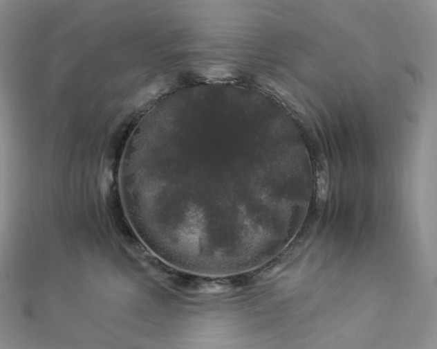 X0000112900618200908211518