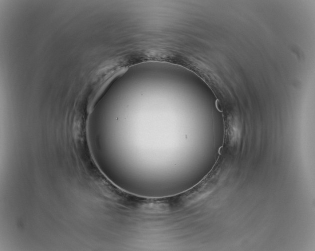 X0000112900619200908211518