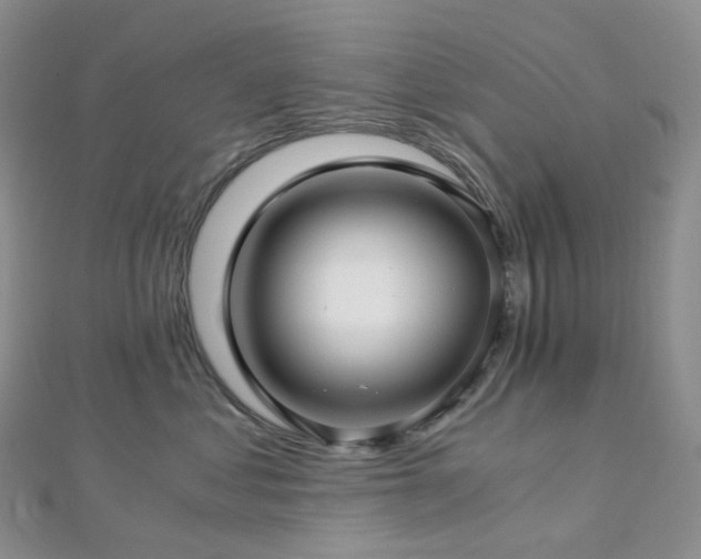 X0000112900621200908211518