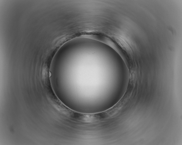 X0000112900623200908211518