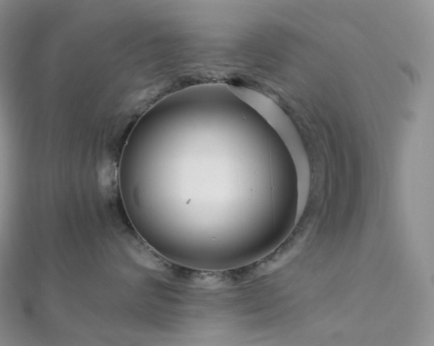X0000112900624200908211518