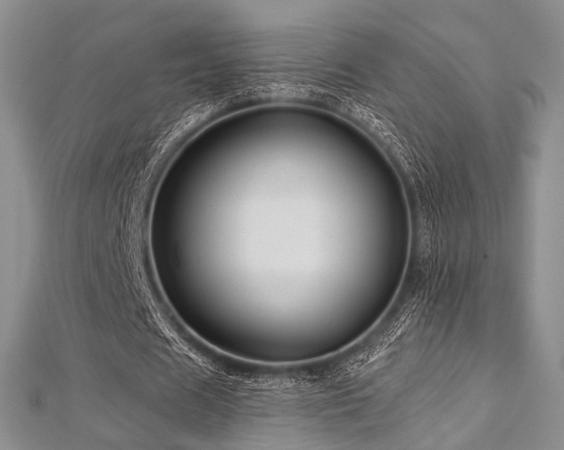 X0000112900625200908211517