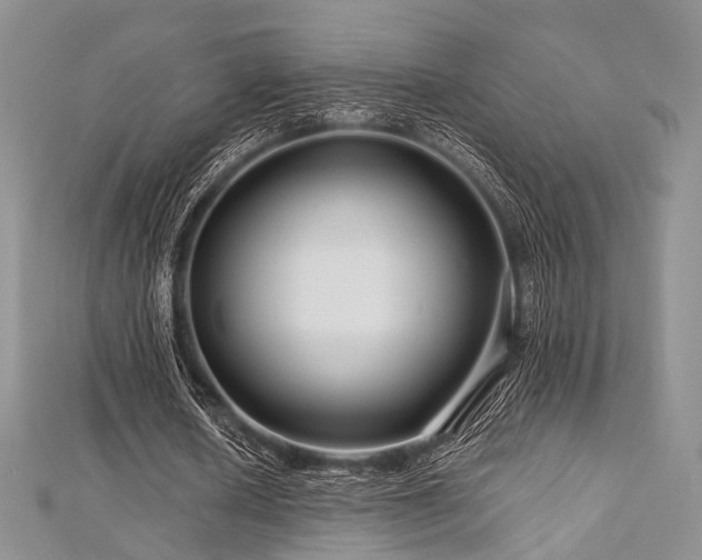X0000112900626200908211517