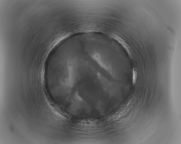 X0000112900627200908211517