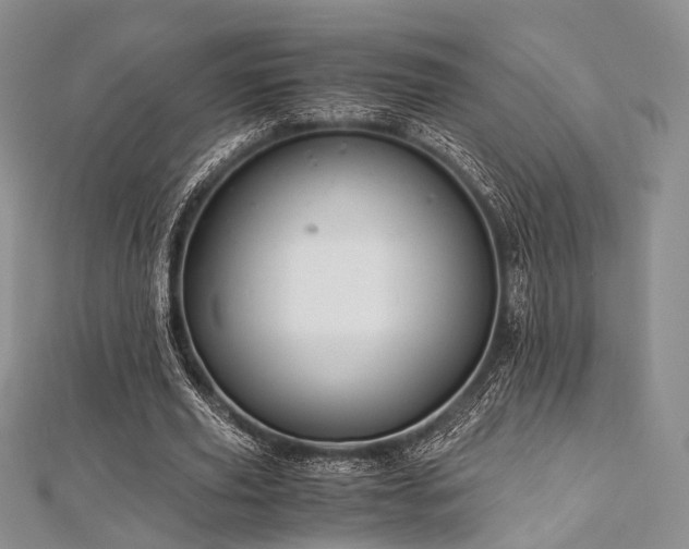 X0000112900629200908211517