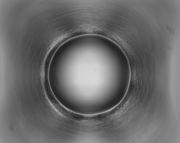 X0000112900630200908211517
