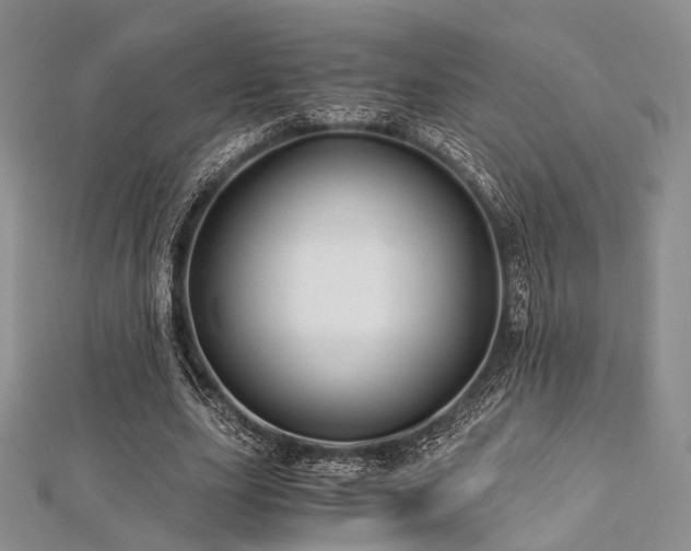 X0000112900631200908211517