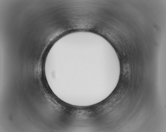 X0000112900632200908211517