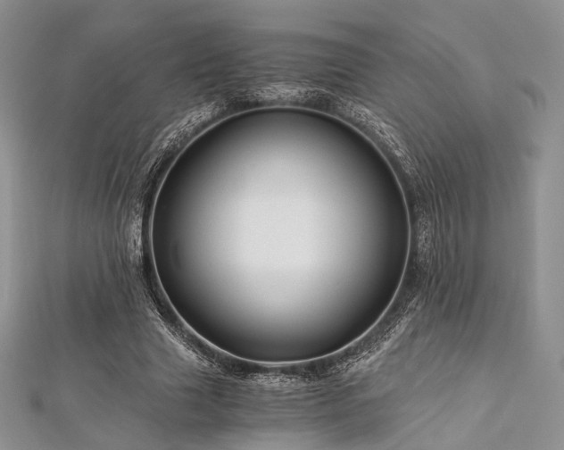 X0000112900633200908211517