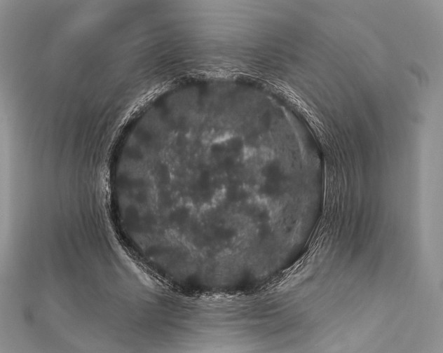 X0000112900634200908211517