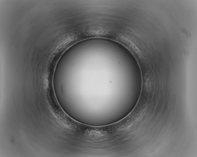 X0000112900635200908211517