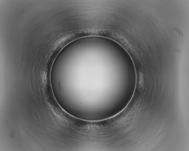X0000112900636200908211517