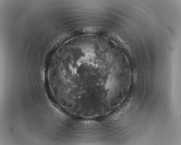 X0000112900637200908211517