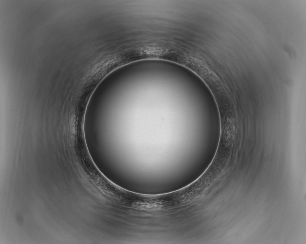 X0000112900639200908211517