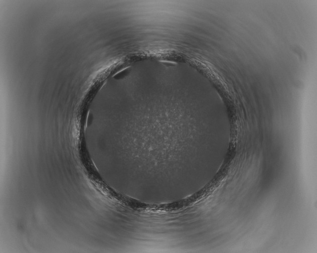 X0000112900640200908211517