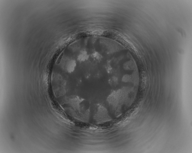 X0000112900641200908211517