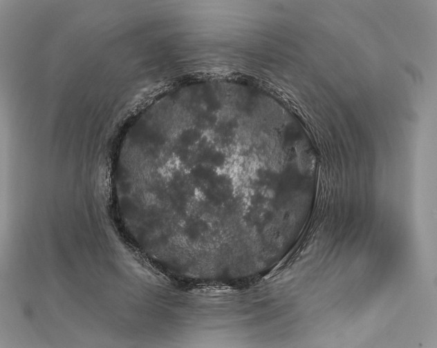 X0000112900642200908211517
