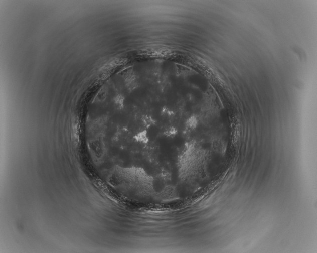 X0000112900643200908211517