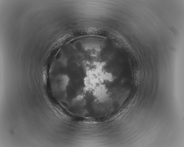 X0000112900644200908211517