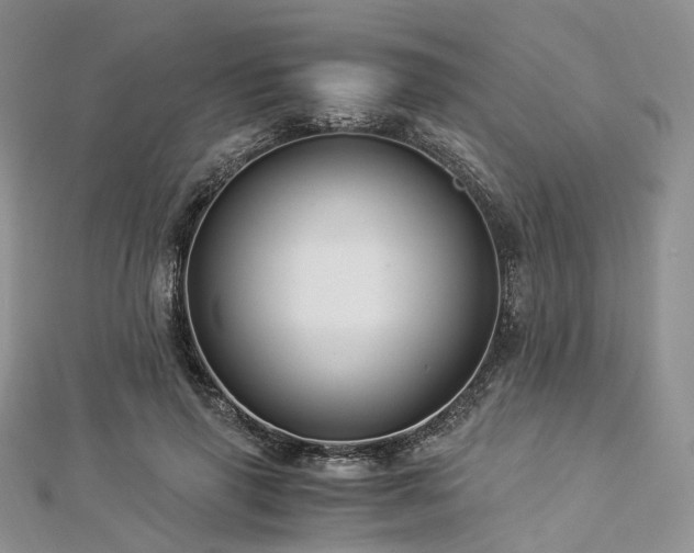 X0000112900645200908211517