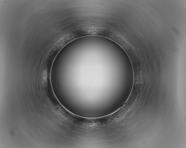 X0000112900646200908211517