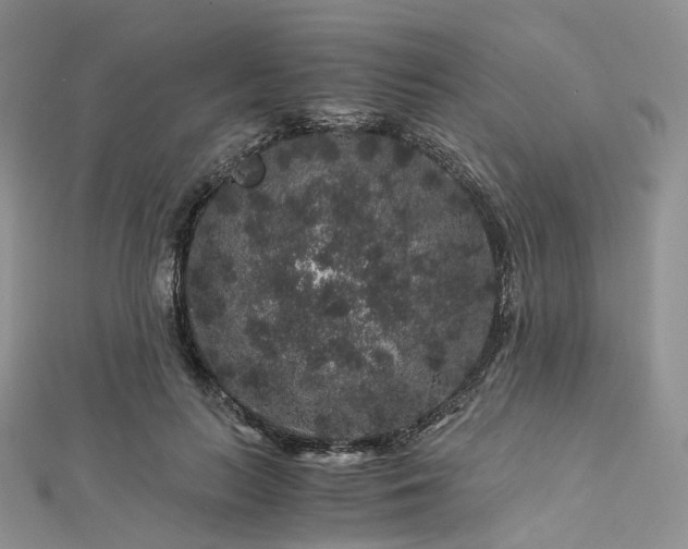 X0000112900647200908211517