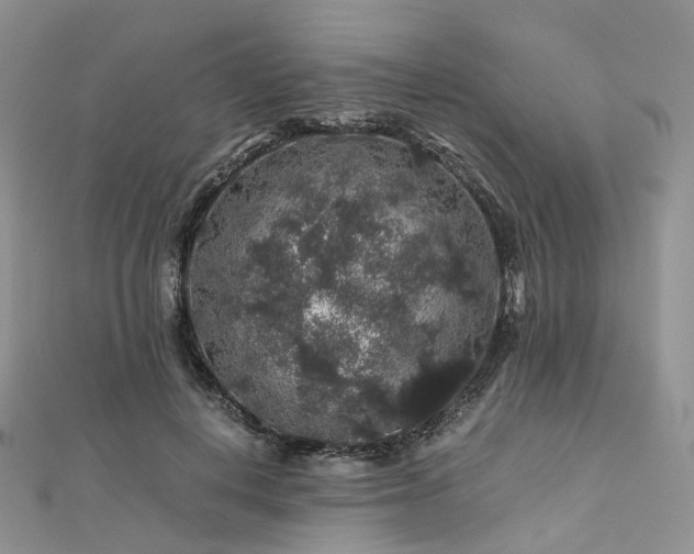 X0000112900648200908211517