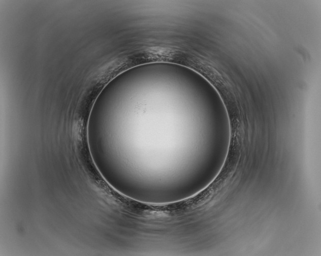 X0000112900649200908211517