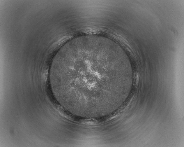 X0000112900652200908211518