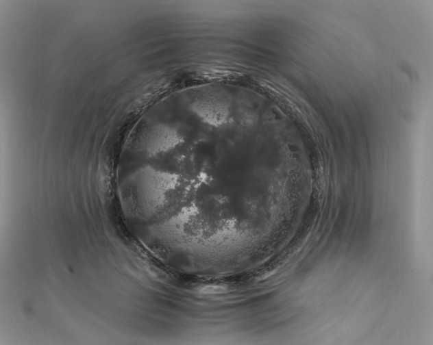 X0000112900653200908211518