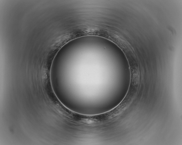 X0000112900654200908211518