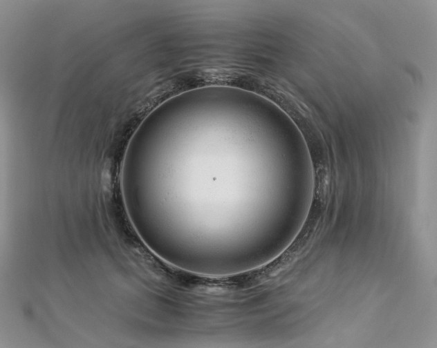 X0000112900655200908211518