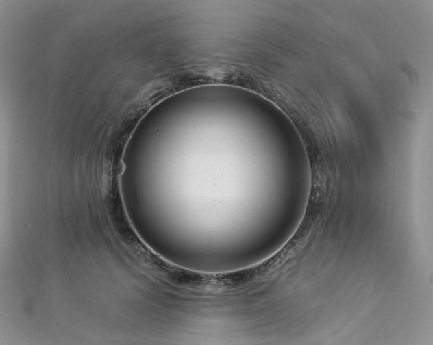 X0000112900656200908211518