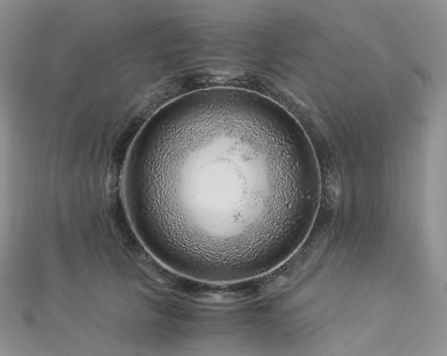 X0000112900657200908211518