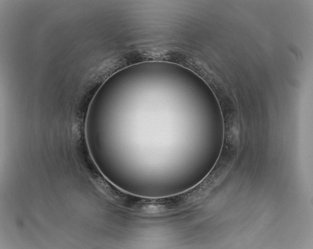 X0000112900658200908211518