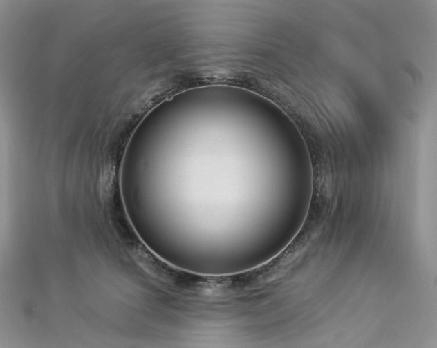 X0000112900660200908211518