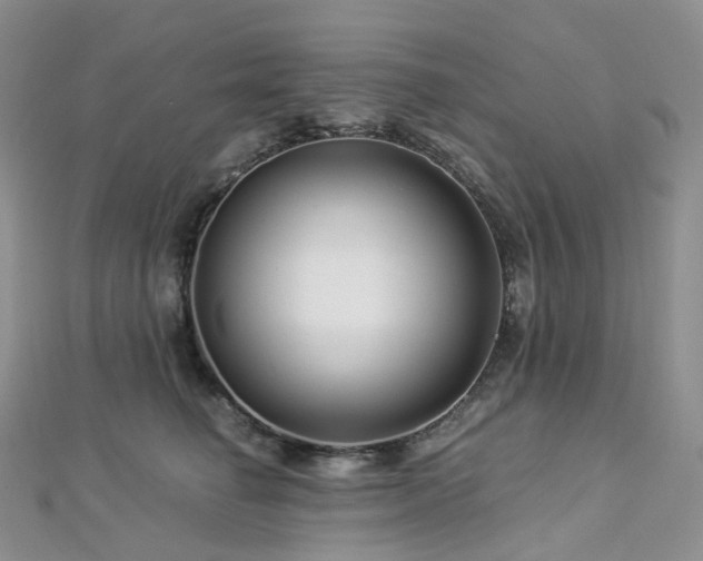 X0000112900662200908211518