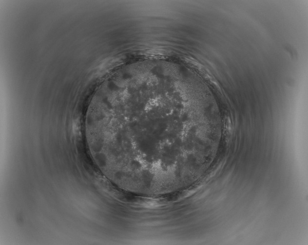 X0000112900663200908211518