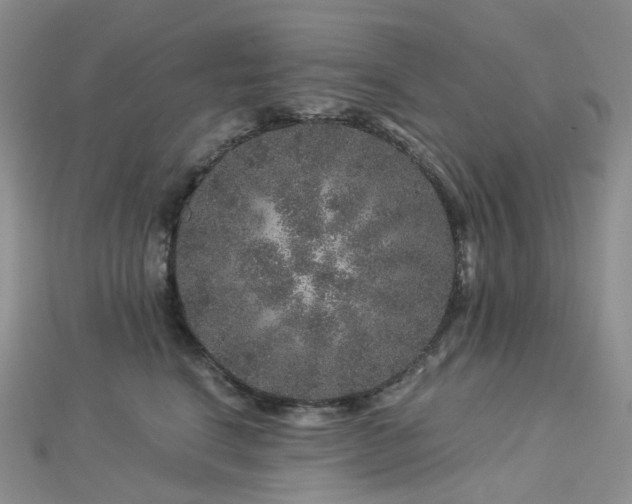 X0000112900664200908211518